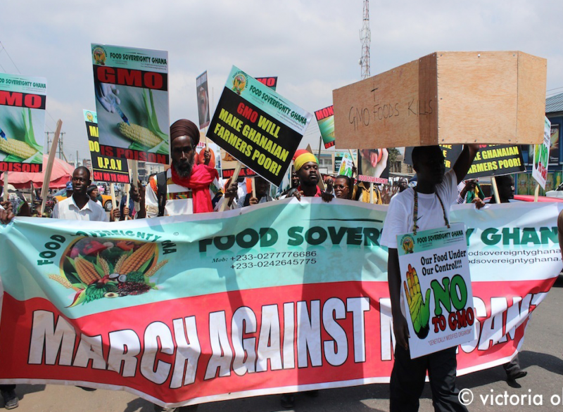 Ghana March Monsanto  2013