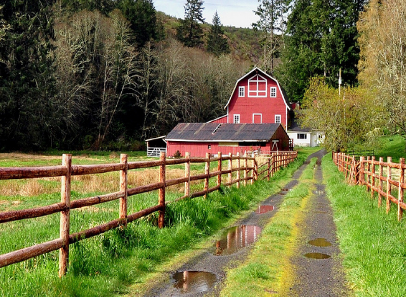 Oregon Farm USA