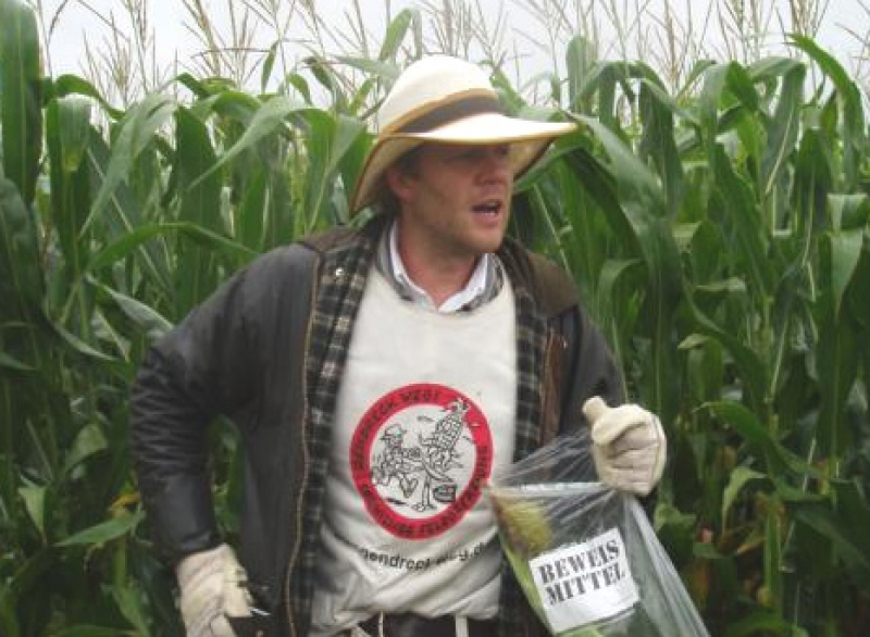 Michael Grolm in Aktion auf einem Maisfeld