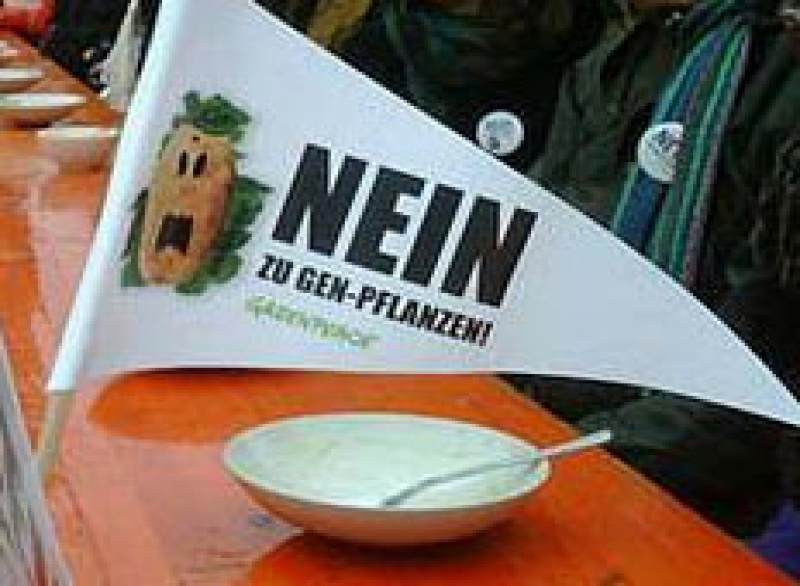 Greenpeace-Protest Amflora