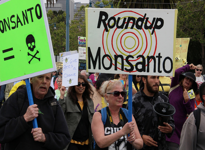 March against Monsanto 2015