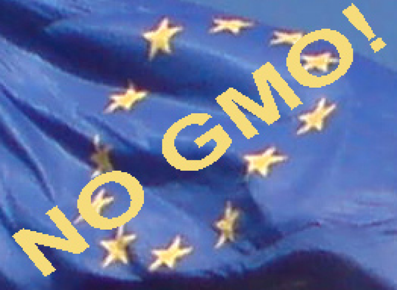EU Fahne: No GMO