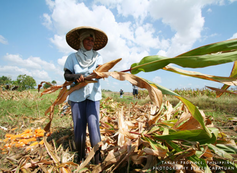 Philippinen Maisfarmer Kleinbauern