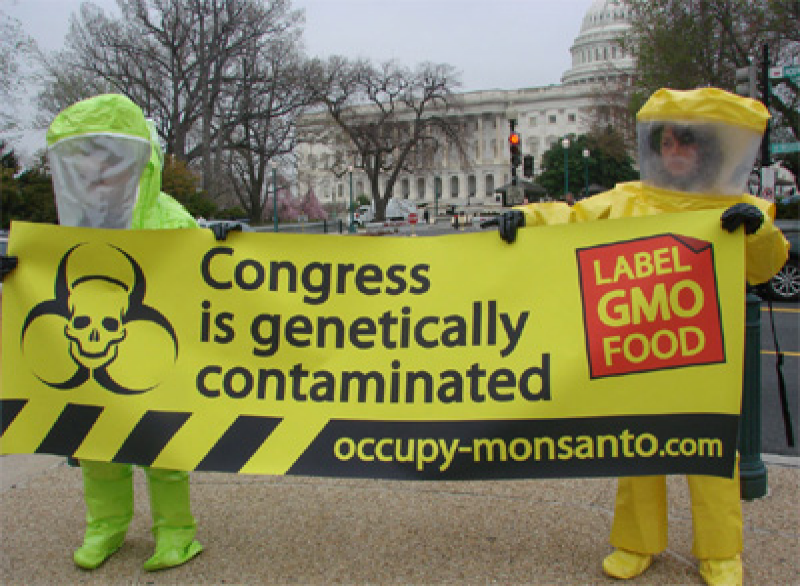 Occupy Monsanto Activity