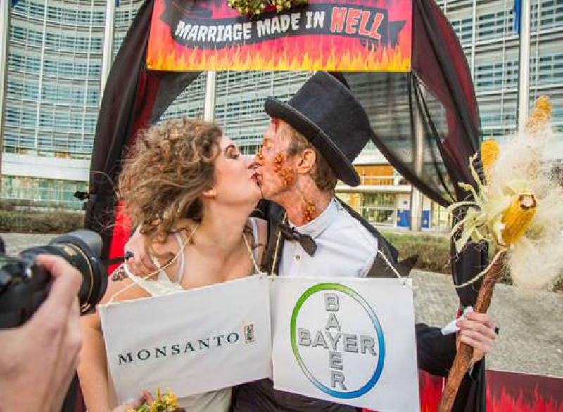 Bayer-Monsanto: eine Hochzeit mit Folgen