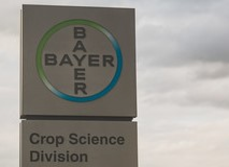 Bayer Crop Science Division Office Headquarters, Foto: Tony Webster, https://bit.ly/2YtecDN, https://creativecommons.org/licenses/by/2.0/ 