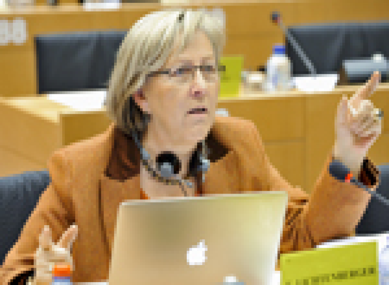 Eva Lichtenberger MEP