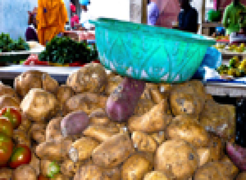 Afrika Lebensmittel Markt Gentechnik