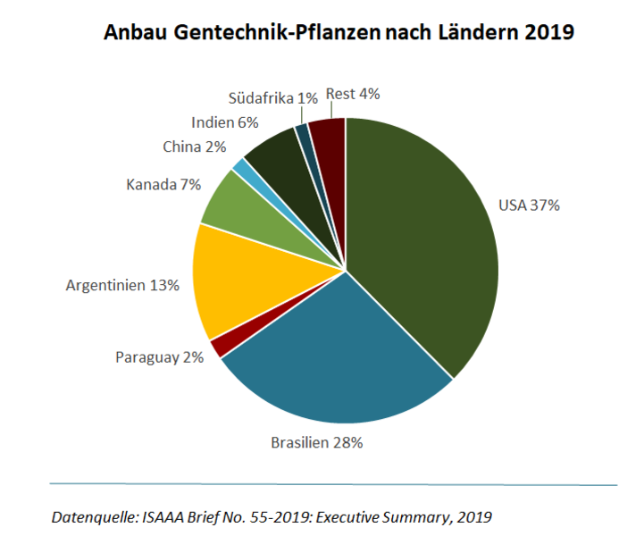 Gentechnik Anbaustatistiken: Was wächst wo?