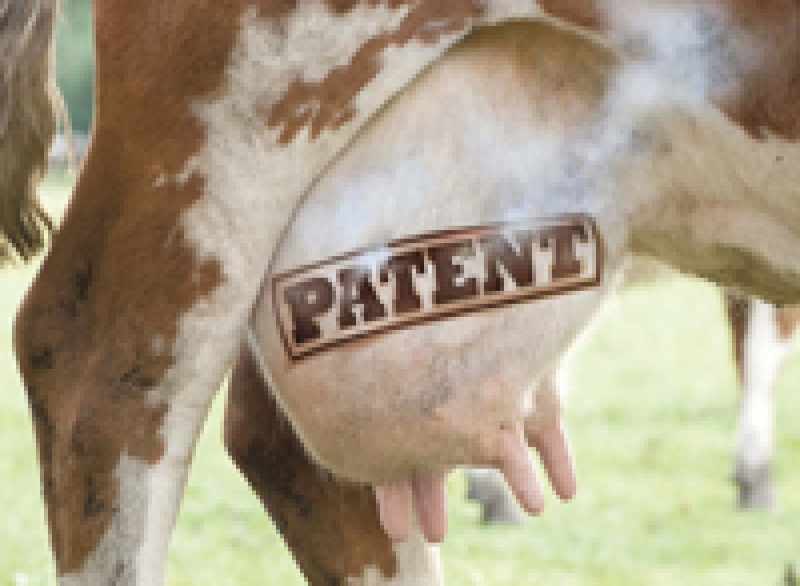 Kein Patent auf Leben