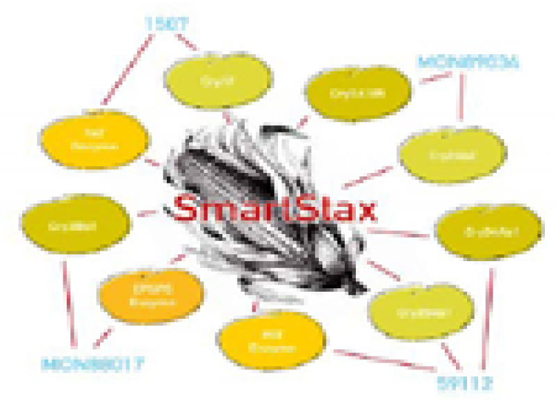 Gentechnik-Mais SmartStax