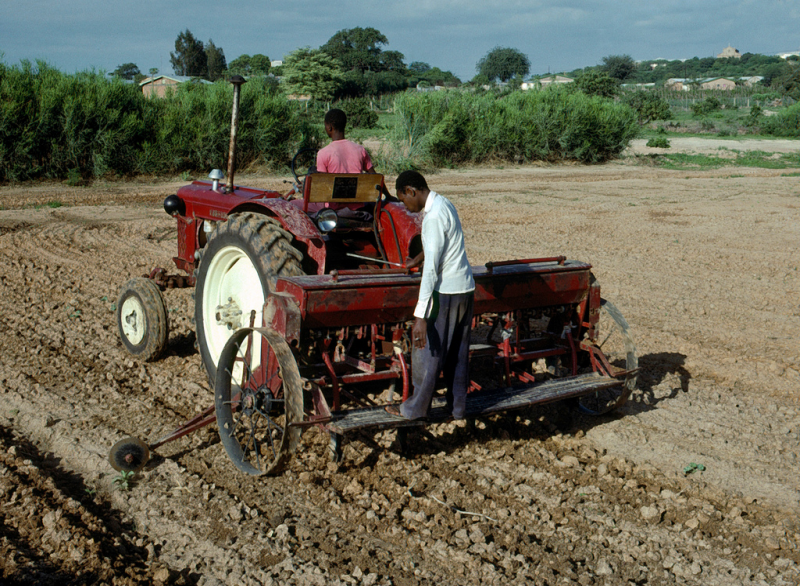 Afrika Traktor Landwirtschaft