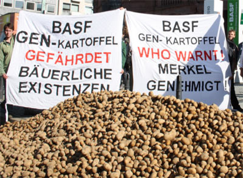 Protest gegen BASF-Kartoffel