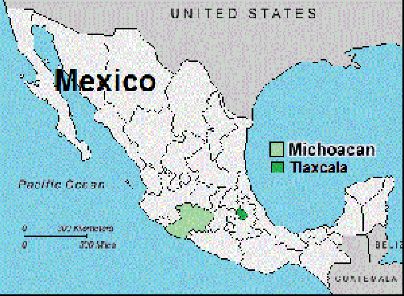 Mexiko bannt Gentechnik-Mais