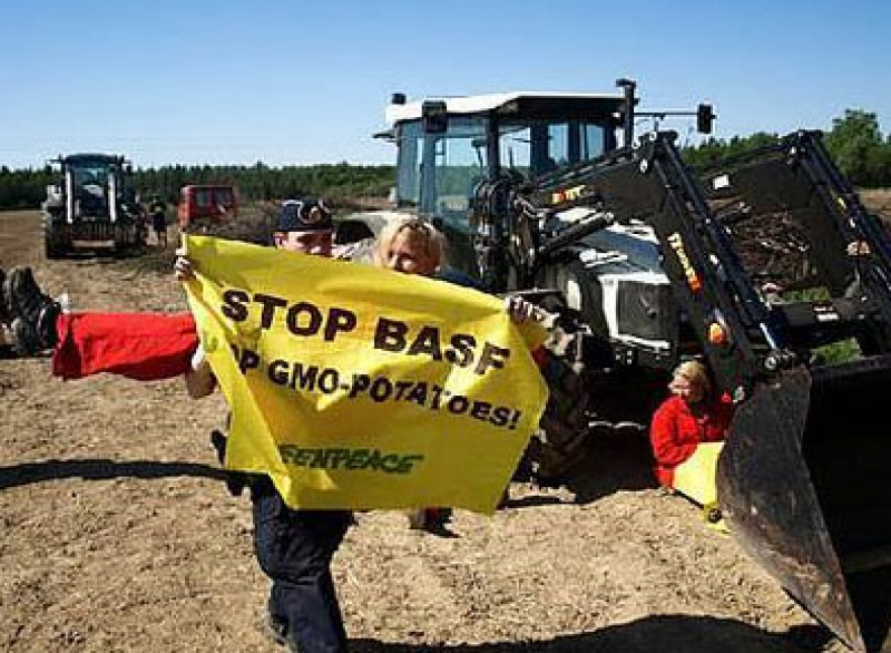 Protest gegen Amflora in Schweden