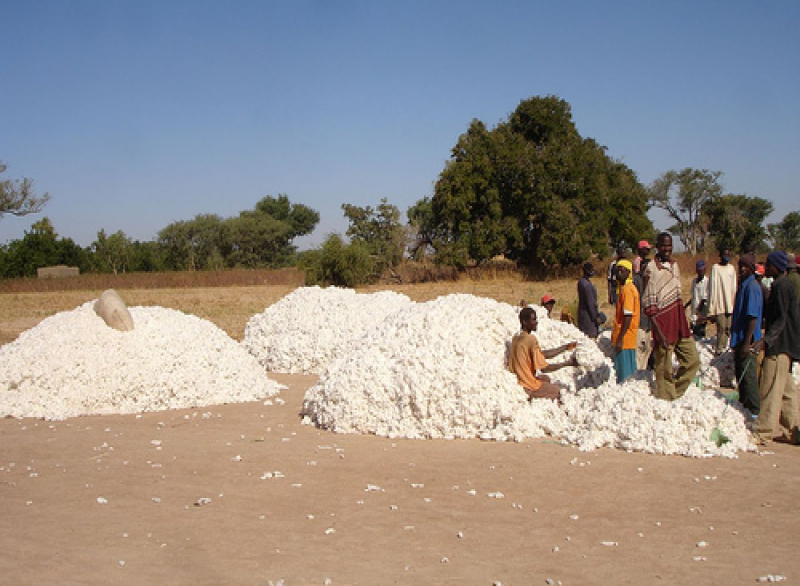 Baumwolle Afrika